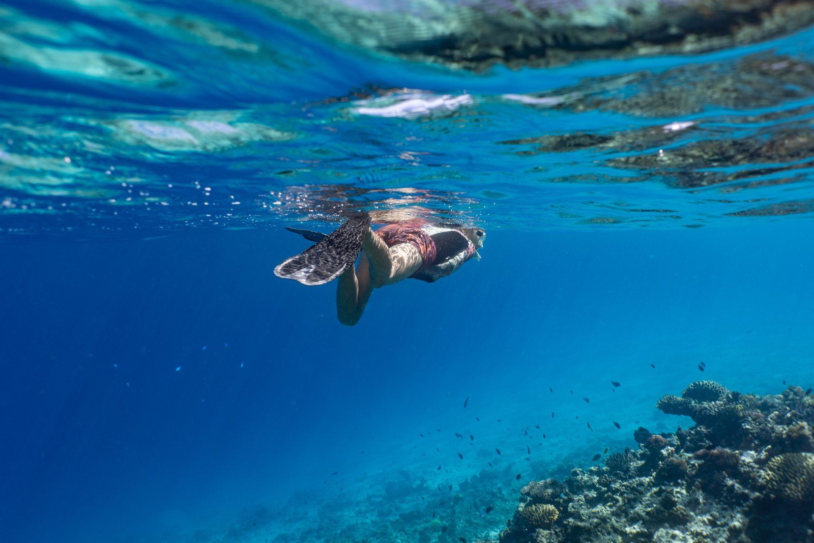 Mounu Island Resort, Tonga