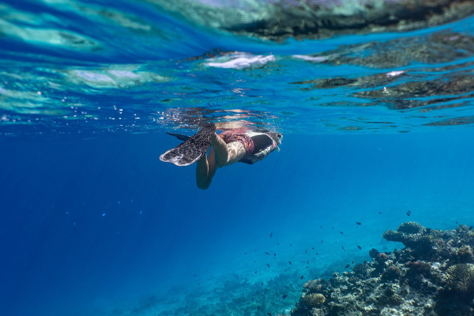 Mounu Island Resort, Tonga